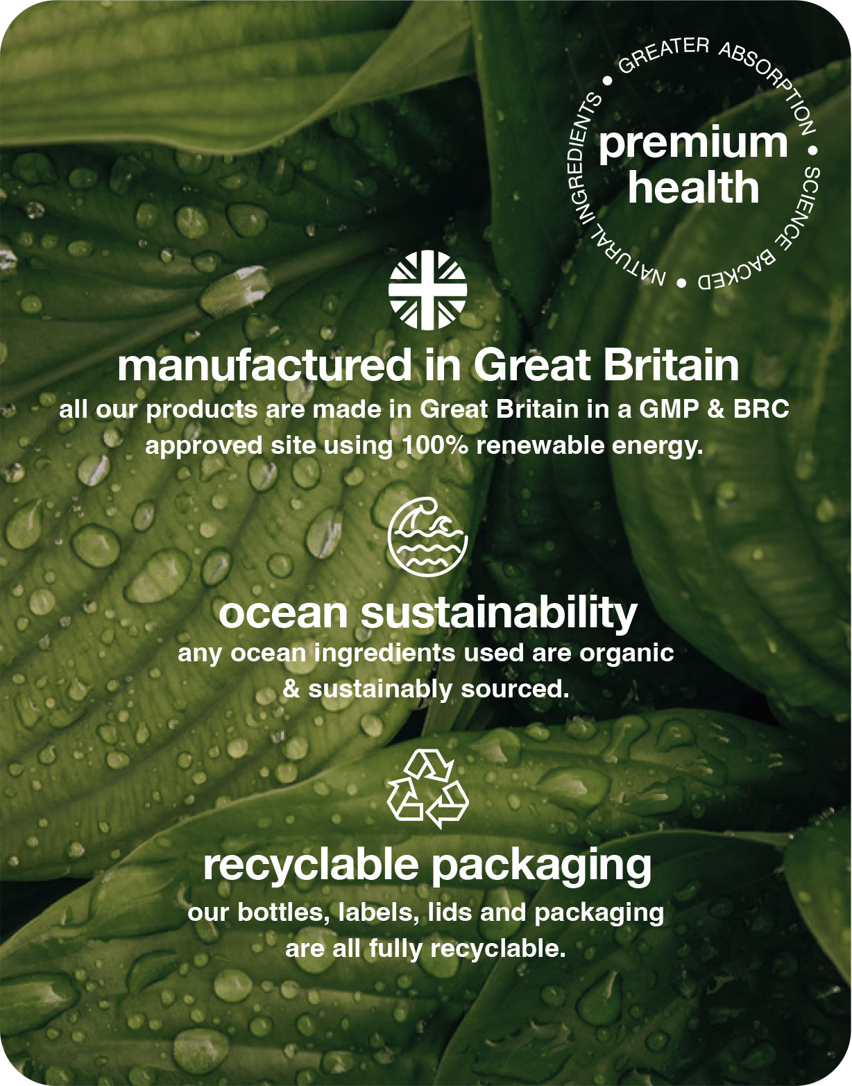 premium CBD 5mg gummies