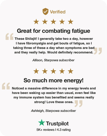 ENERGY+ Shilajit 300mg gummies