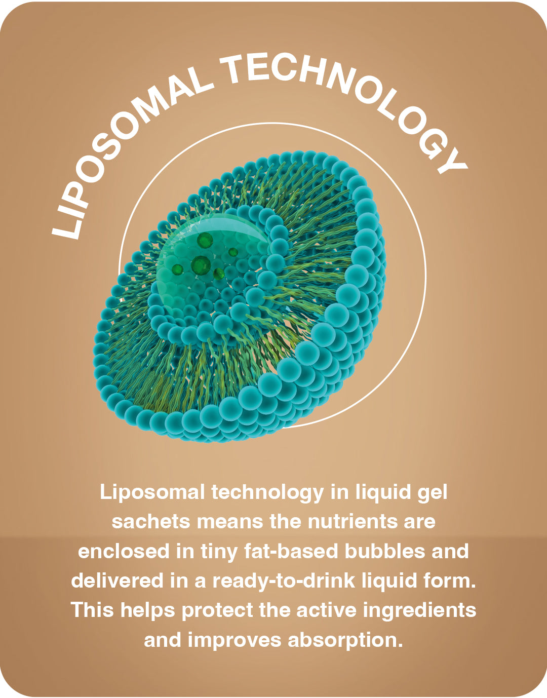 Iron 75mg Liquid Liposomal